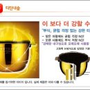 핑크로즈 이미지