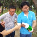 마리장풍숲 이미지