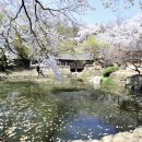 남간정사 이미지