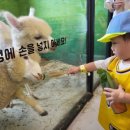 수달앤쥬