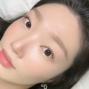 다르수