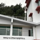 와이와이씨