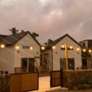 판포레스트 이미지