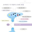 한국식오카리나 이미지