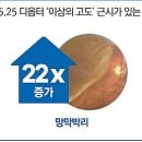 인 안경 이미지
