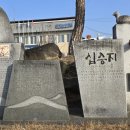 금당실전통마을 네이버블로그