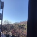 앞장술 해수욕장