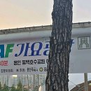 호수공원_중앙광장 이미지