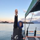 스테이웅 이미지