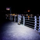 죽변항 | 울진 죽변항, 오산항 볼락 루어낚시 출조 후기