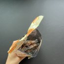 (주)동화씨앤에프 이미지
