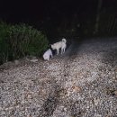 산골초가집
