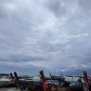 맑은물리조트 (주)리버빌 | [태국] 2025.11.15~17 : 피피섬 파라다이스 펄 방갈로 리조트