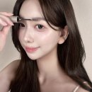 하루한올 | 짱구눈썹 탈출! 롬앤 한올 브로우카라 08 문그레이 솔직후기