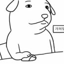 메디뱅크 이미지