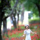 9월17일 무안파래갯벌&amp;영광 불갑사 상사화 (편집완료) 헬로연수 지기님 리딩 이미지