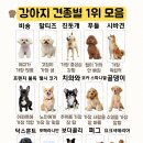 공감