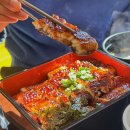 수지로227번길 | 용인 수지 장어 찐 맛집 신계동 장어 솔직 후기