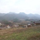 태식이네 이미지