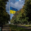 유신헬스케어 이미지