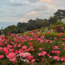 윈느타임(unetime) 이미지