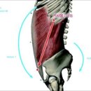 TR 멀티짐 이미지