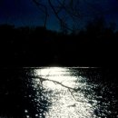 MOON river 이미지