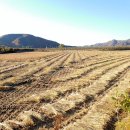 귀촌펜션 이미지