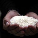 대보정미소 이미지