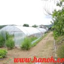 반곡보건진료소 이미지