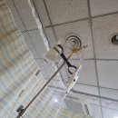 담낭절제술 후기 - 1(담석증 증상과 ercp 시술)