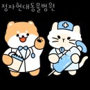 정자현대동물병원 | 성남 정자동 동물병원 정자현대동물병원 진료시간 접근성 이용후기