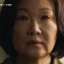 김해숙 카카오 검색결과