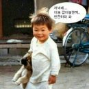 꽂닭