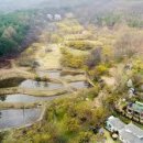 이천 산수유마을 경기도 대표 산수유축제 안내 이미지