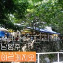 묘적사 계곡식당 아르페지오 남양주 애견동반 맛집 물놀이