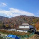 영동종합밧데리 네이버블로그