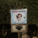 별빛공원 배드민턴장