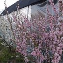 솔향기하우스 이미지