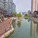 오늘 와인한잔 청라수변공원점 수제맥주 예그리나 감바스 알 아히요