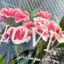 스테이제부 이미지