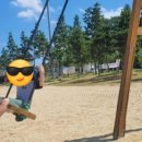 생태랑 놀아볼까 이미지