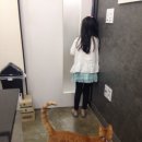 제연동물병원 이미지