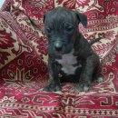 여주-1116 이미지