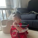 새벽한시스냅 이미지