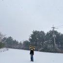 겨울 제주도 2박 3일 총 정리 (2023년 운 제주도여행에 다씀)