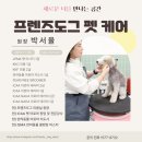프렌즈유치원 이미지