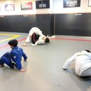 팀매드 명지 이미지