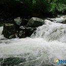 소백산자락길 제7코스 이미지