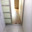 삼보빌 이미지